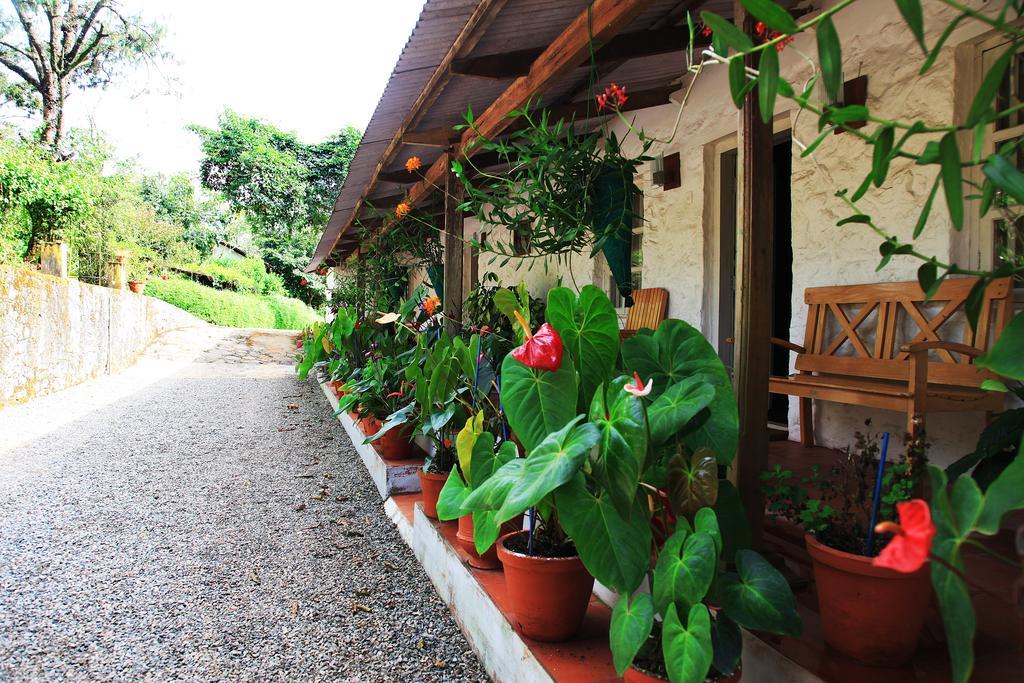 Thekkady Kalarickal Heritage Bungalow Vandanmedu Bagian luar foto