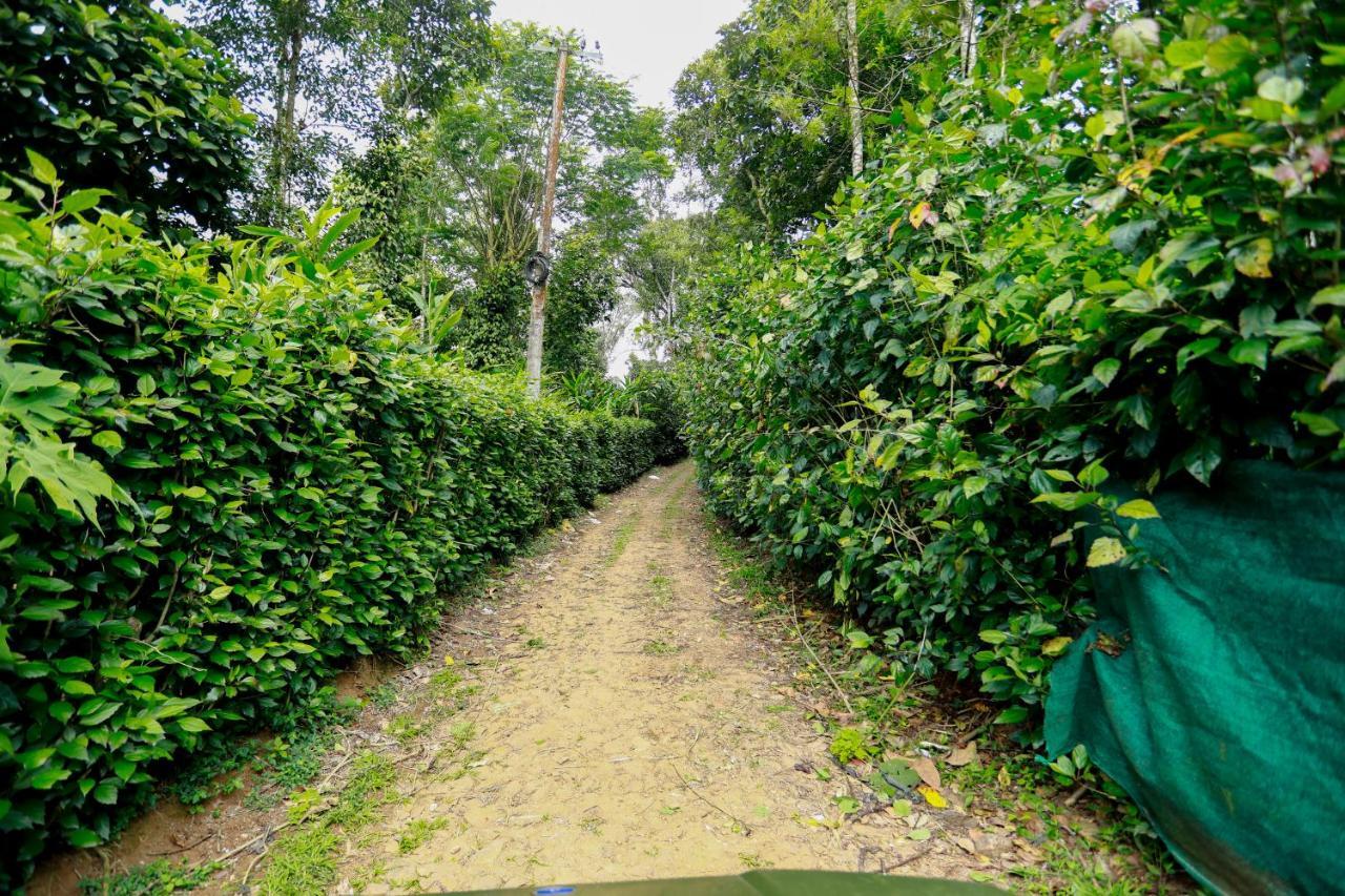 Thekkady Kalarickal Heritage Bungalow Vandanmedu Bagian luar foto