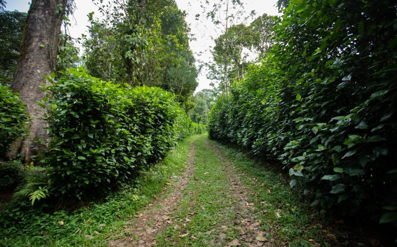 Thekkady Kalarickal Heritage Bungalow Vandanmedu Bagian luar foto